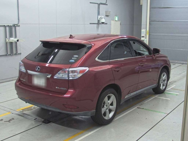 LEXUS RX