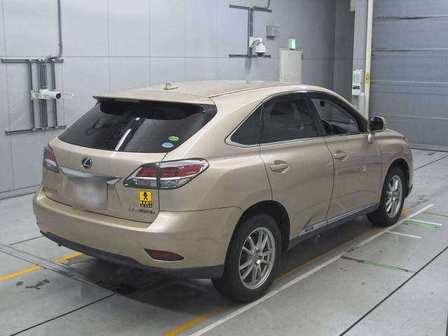 LEXUS RX