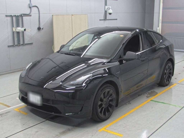 TESLA MODELY
