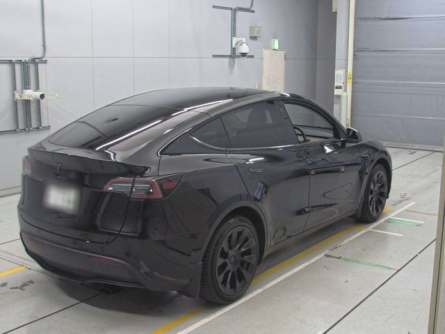 TESLA MODELY