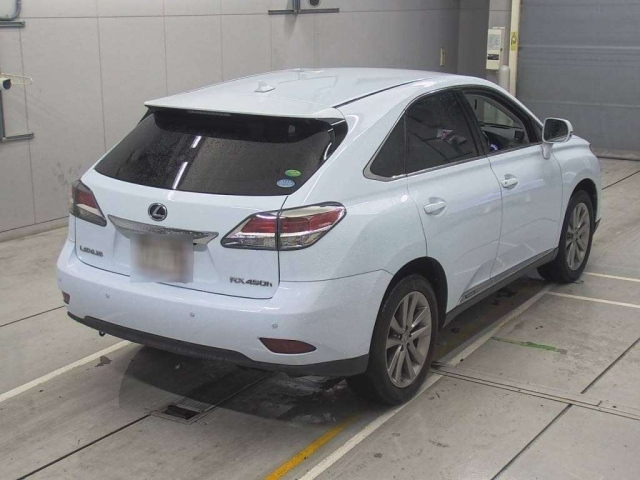 LEXUS RX
