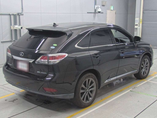 LEXUS RX