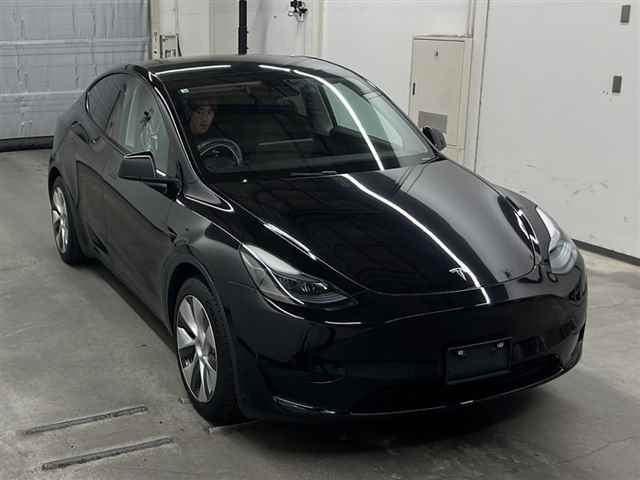 TESLA MODELY