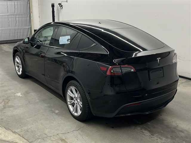 TESLA MODELY