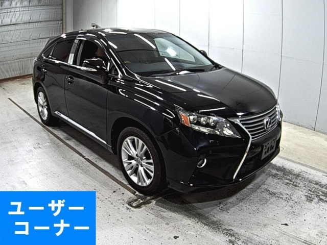 LEXUS RX