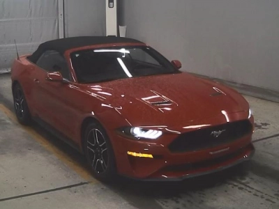 FORD OTHER