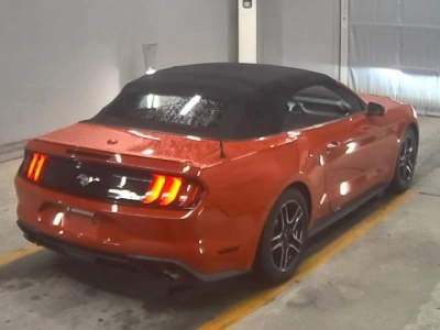 FORD OTHER