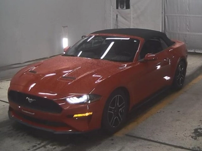FORD OTHER