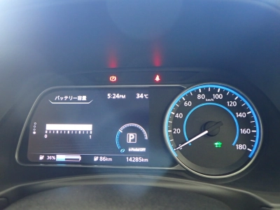 NISSAN LEAF
