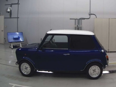 ROVER MINI