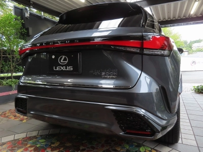 LEXUS RX