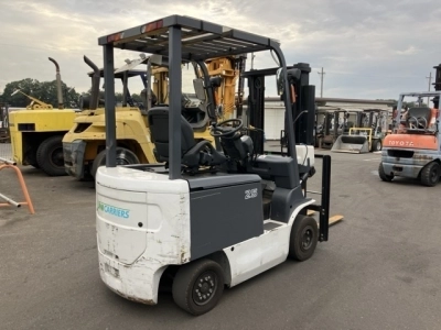 OTHER UNICARRIERS