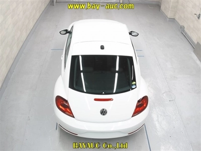 VOLKSWAGEN THE BEETLE