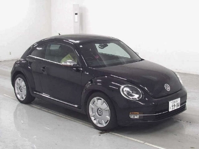 VOLKSWAGEN THE BEETLE