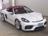 OTHER 718 SPY 
