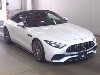 OTHER MEAMG SL