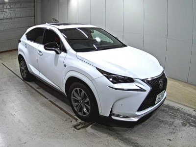LEXUS NX