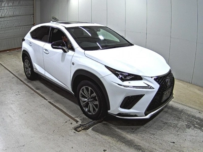 LEXUS NX