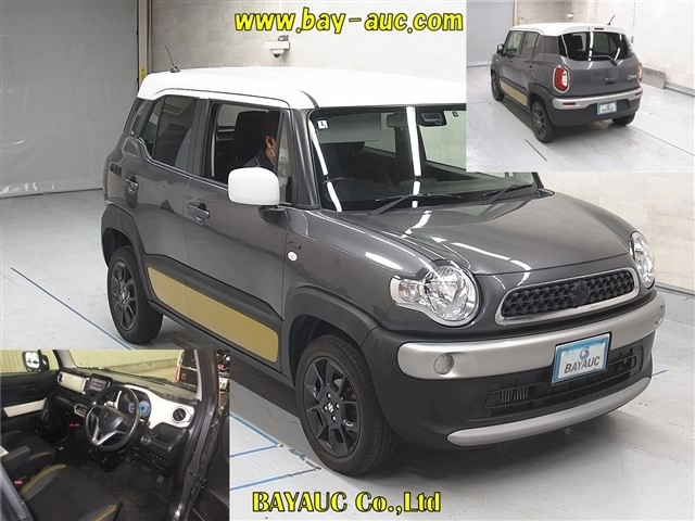 SUZUKI XBEE