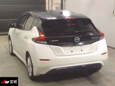 NISSAN LEAF