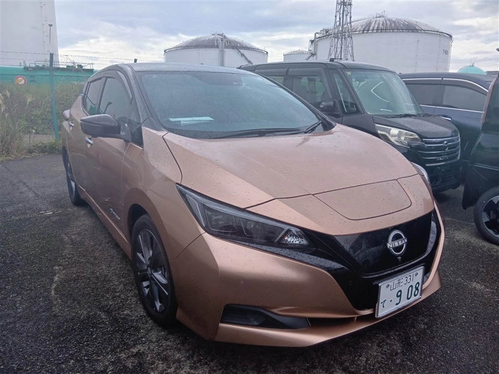 NISSAN LEAF