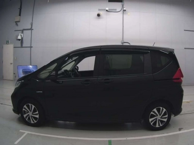 HONDA FREED + HYBRID