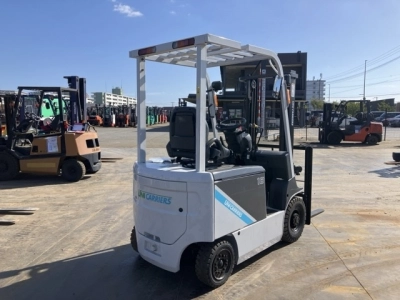 OTHER UNICARRIERS