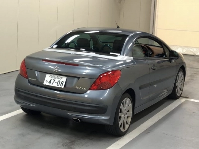 PEUGEOT 207