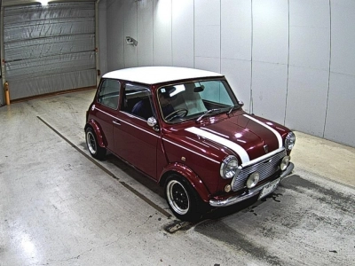 ROVER MINI