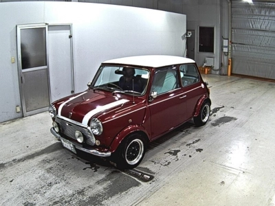 ROVER MINI