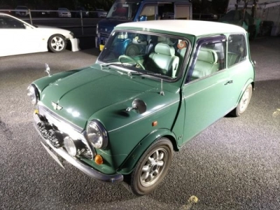 ROVER MINI