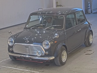 ROVER MINI