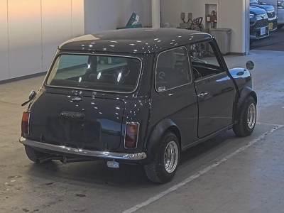 ROVER MINI