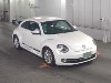 VOLKSWAGEN THE BEETLE