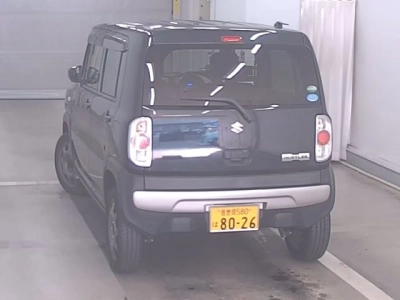SUZUKI HUSTLER