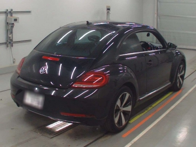 VOLKSWAGEN THE BEETLE