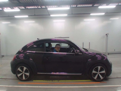 VOLKSWAGEN THE BEETLE