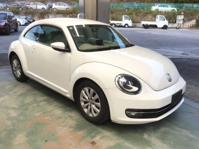 VOLKSWAGEN THE BEETLE
