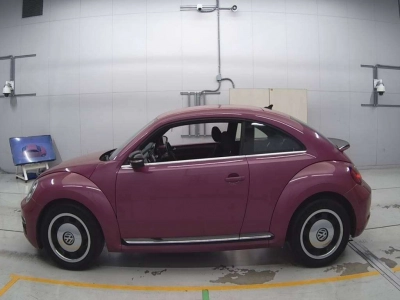VOLKSWAGEN THE BEETLE