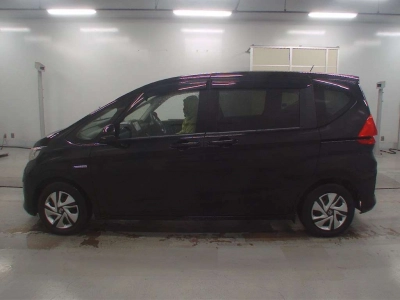 HONDA FREED + HYBRID
