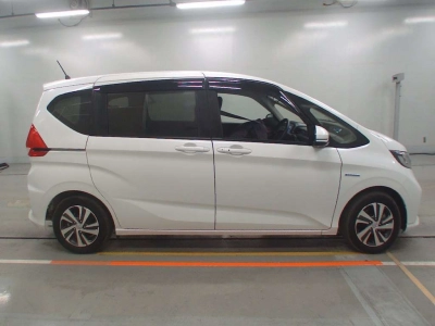 HONDA FREED + HYBRID