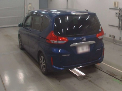 HONDA FREED + HYBRID