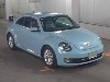 VOLKSWAGEN THE BEETLE