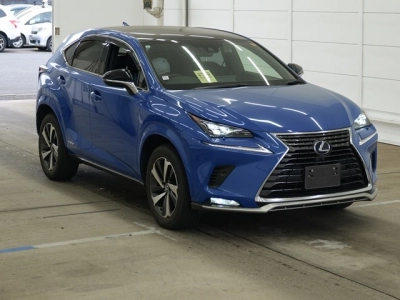 LEXUS NX