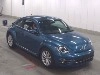 VOLKSWAGEN THE BEETLE