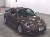VOLKSWAGEN THE BEETLE
