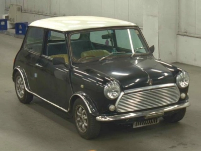 ROVER MINI