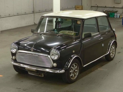 ROVER MINI