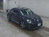 VOLKSWAGEN THE BEETLE