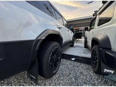 TOYOTA LAND CRUISER 250